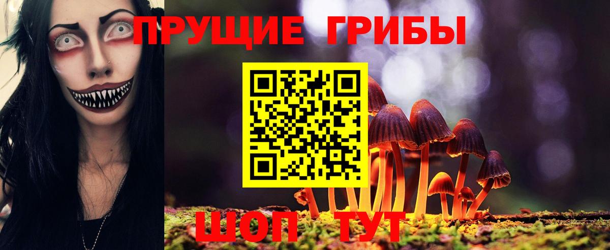 наркота  Вход с VPN  Егорьевск  Псилоцибиновые грибы Cubensis 